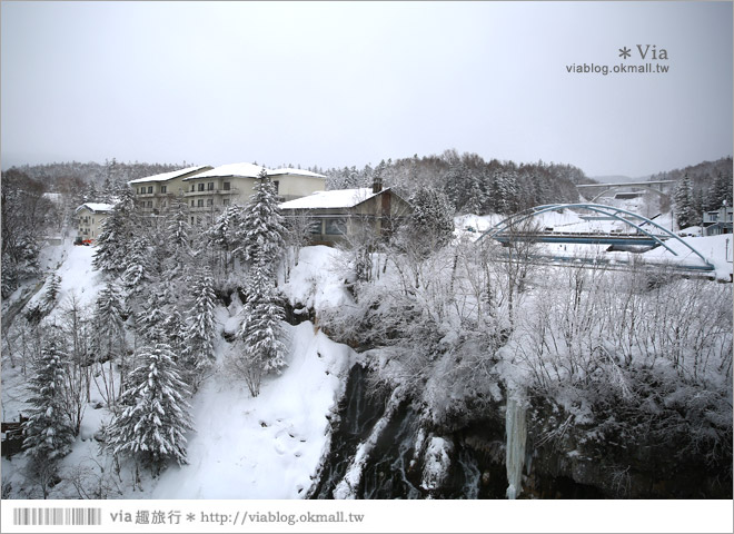 北海道冬季玩法》美瑛｜白金溫泉鄉～來去雪鞋體驗、漫步在白色森林中耍浪漫