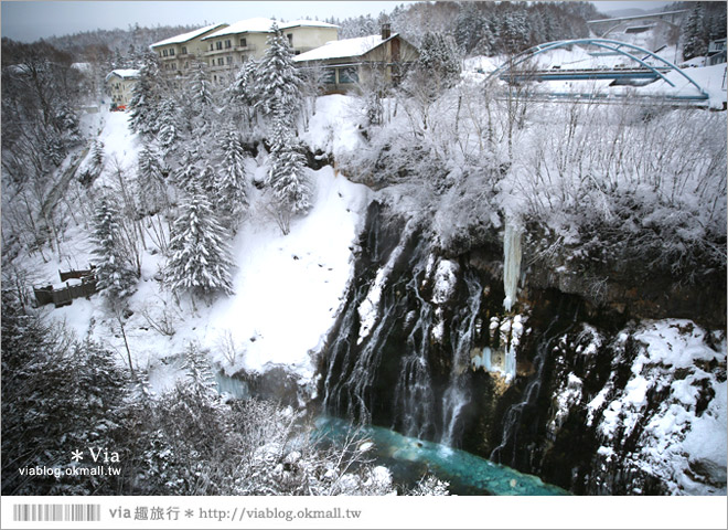 北海道冬季玩法》美瑛｜白金溫泉鄉～來去雪鞋體驗、漫步在白色森林中耍浪漫