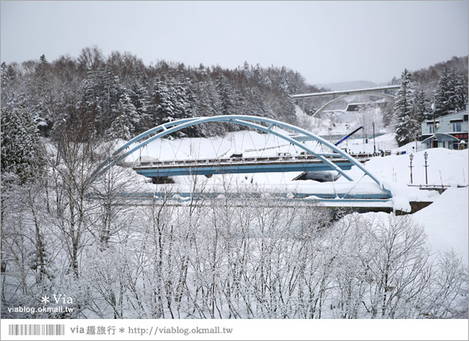 北海道冬季玩法》美瑛｜白金溫泉鄉～來去雪鞋體驗、漫步在白色森林中耍浪漫