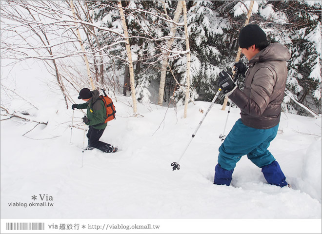 北海道冬季玩法》美瑛｜白金溫泉鄉～來去雪鞋體驗、漫步在白色森林中耍浪漫