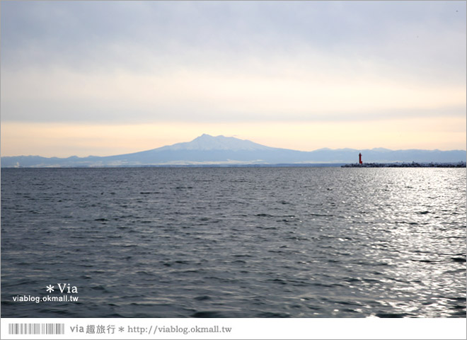 網走流冰》北海道網走破冰船～搭乘極光號破冰船出海賞流冰去囉！