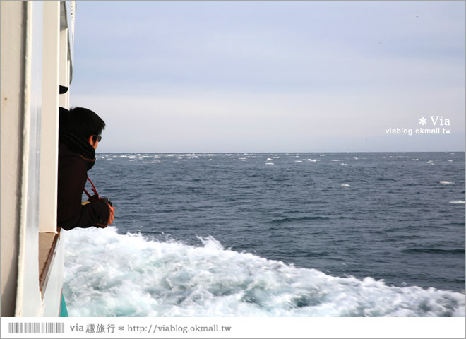 網走流冰》北海道網走破冰船～搭乘極光號破冰船出海賞流冰去囉！