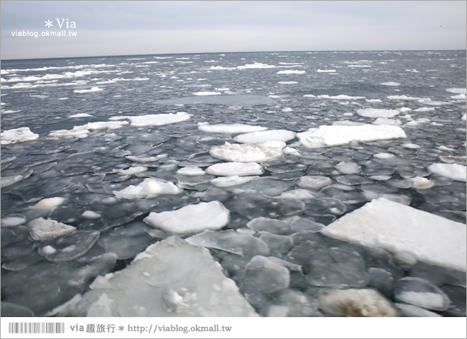 網走流冰》北海道網走破冰船～搭乘極光號破冰船出海賞流冰去囉！