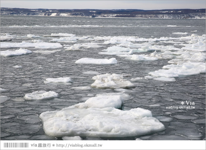 網走流冰》北海道網走破冰船～搭乘極光號破冰船出海賞流冰去囉！