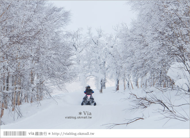 北海道雪上摩托車》北海道名寄滑雪場～體驗雪森林中雪上摩托車的騁馳速度快感！