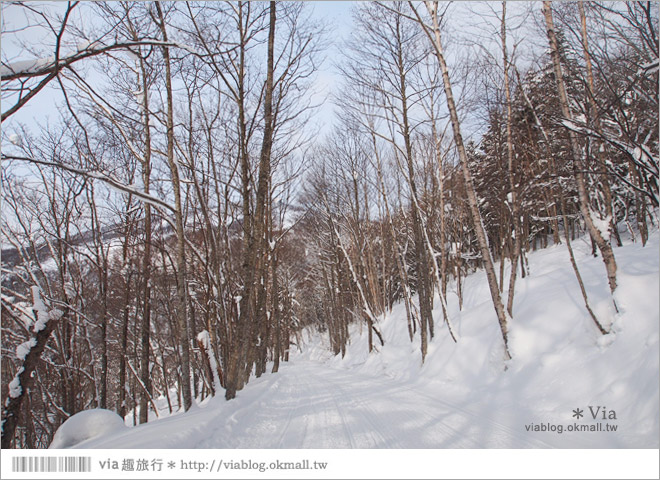 北海道雪上摩托車》北海道名寄滑雪場～體驗雪森林中雪上摩托車的騁馳速度快感！