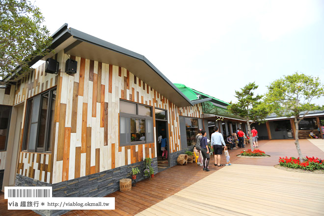 台中親子餐廳》赤腳丫生態農莊～大草地！休日帶孩子們來奔跑、用餐的好去處！