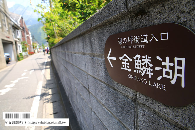 由布院必逛景點》九州湯布院～渡假吧！湯之坪街道散策去！藝術風情十足的山中小鎮