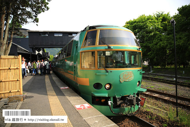 九州鐵道之旅》由布院之森列車～必搭！懷舊歐風的ゆふいんの森，濃郁風情好迷人！