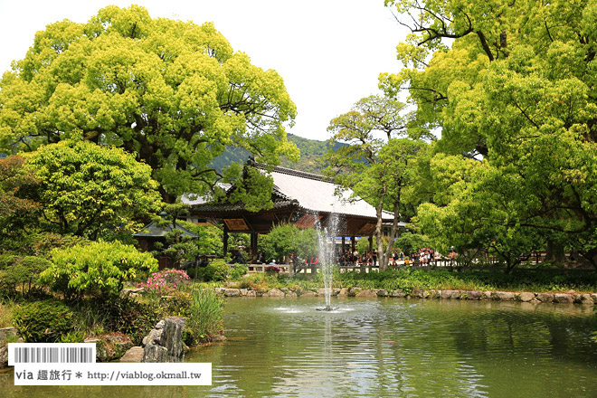 九州旅遊》福岡旅遊景點‧太宰府天滿宮～必去！漫遊參道及最紅求學問成就名所！