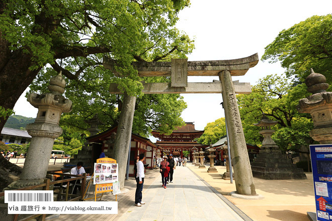 九州旅遊》福岡旅遊景點‧太宰府天滿宮～必去！漫遊參道及最紅求學問成就名所！