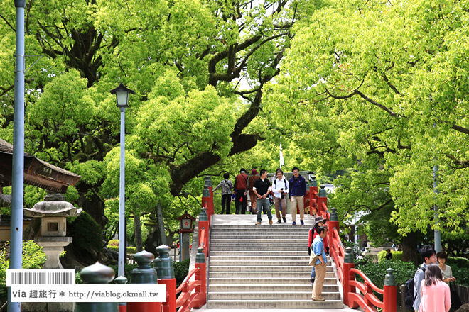 九州旅遊》福岡旅遊景點‧太宰府天滿宮～必去！漫遊參道及最紅求學問成就名所！