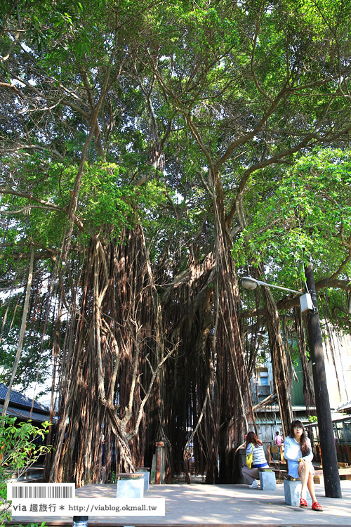 台中文學館》台中旅點～舊日式警察宿舍改造的藝文園區散策去！