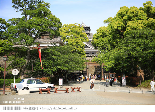 熊本旅遊景點》熊本城～擁有四百多年歷史的日本三大名城之一！來熊本必玩～