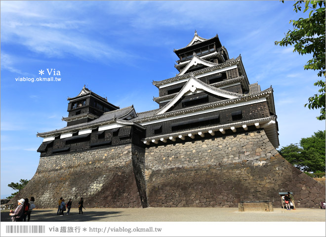 熊本旅遊景點》熊本城～擁有四百多年歷史的日本三大名城之一！來熊本必玩～