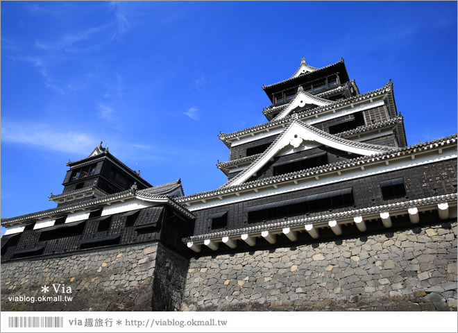 熊本旅遊景點》熊本城～擁有四百多年歷史的日本三大名城之一！來熊本必玩～