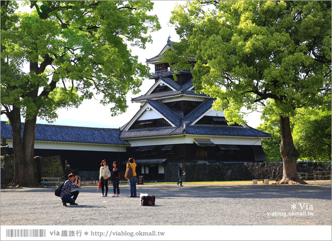 熊本旅遊景點》熊本城～擁有四百多年歷史的日本三大名城之一！來熊本必玩～