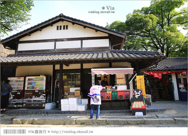 熊本旅遊景點》熊本城～擁有四百多年歷史的日本三大名城之一！來熊本必玩～