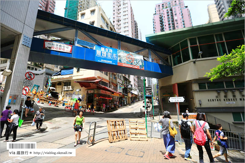 香港旅遊景點》西環漫遊～西營盤站浮雕壁畫、余均益辣椒醬、科士街石牆樹！西環比你想像中的還有趣！