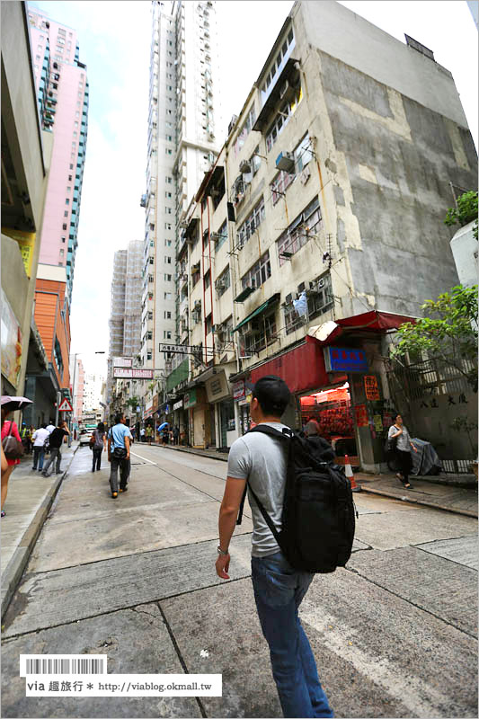 香港旅遊景點》西環漫遊～西營盤站浮雕壁畫、余均益辣椒醬、科士街石牆樹！西環比你想像中的還有趣！