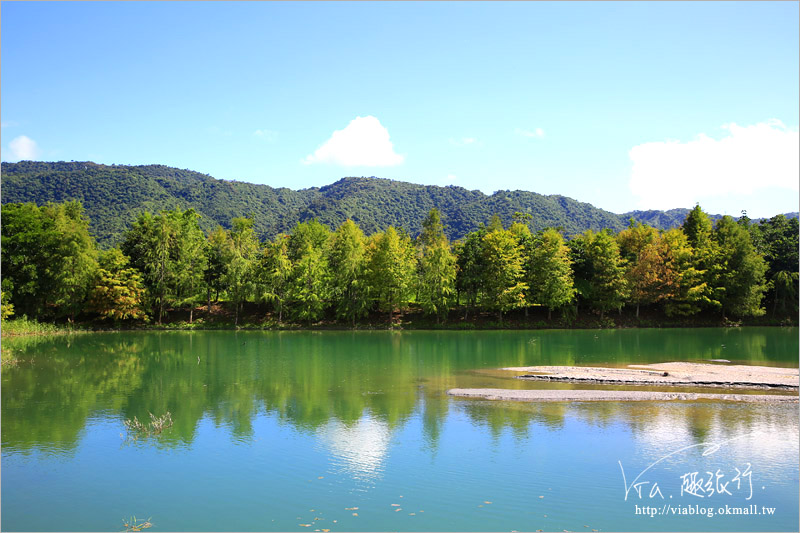 花蓮雲山水》花蓮景點推薦「雲山水」～夢幻湖畔散步‧落羽松微轉紅好迷人！