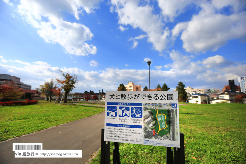 青森旅遊景點》吉野町綠地公園「A to Z Memorial Dog」～朝聖！奈良美智的弘前犬！