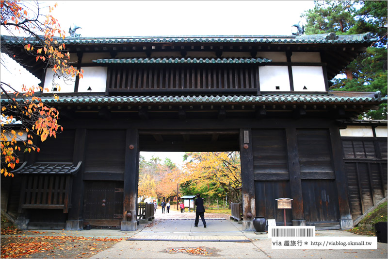 青森賞楓》青森紅葉景點～弘前城‧不止櫻花季美！紅葉季也是緋紅迷人的旅點！