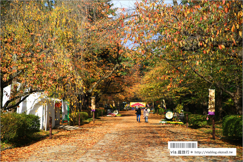 青森賞楓》青森紅葉景點～弘前城‧不止櫻花季美！紅葉季也是緋紅迷人的旅點！