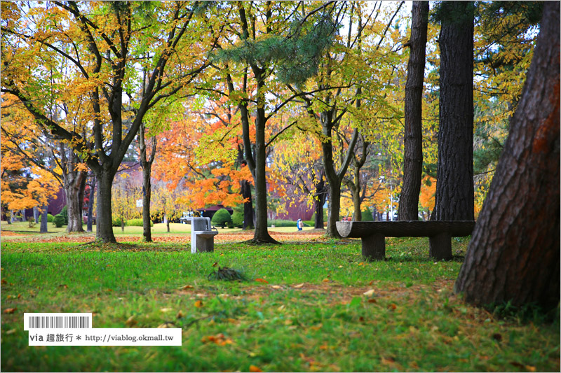 青森賞楓》青森紅葉景點～弘前城‧不止櫻花季美！紅葉季也是緋紅迷人的旅點！