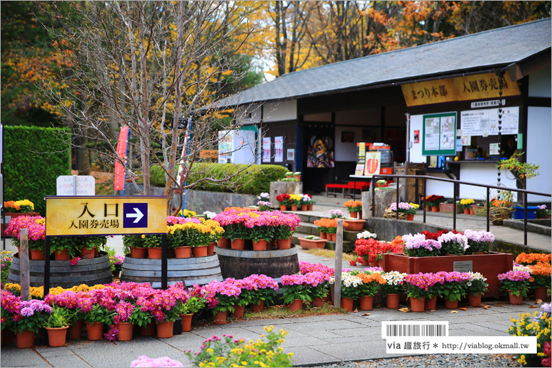 青森賞楓》青森紅葉景點～弘前城‧不止櫻花季美！紅葉季也是緋紅迷人的旅點！