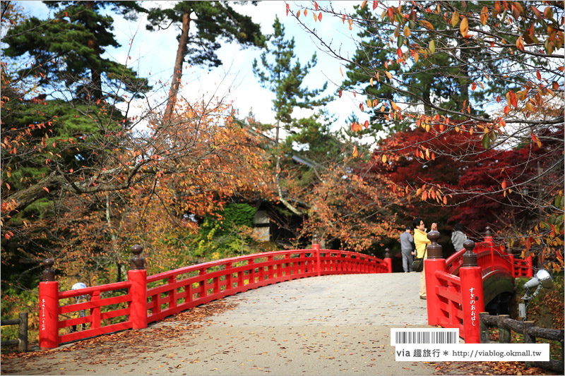 青森賞楓》青森紅葉景點～弘前城‧不止櫻花季美！紅葉季也是緋紅迷人的旅點！