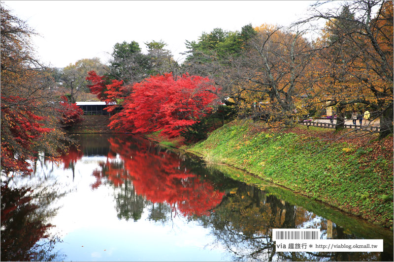 青森賞楓》青森紅葉景點～弘前城‧不止櫻花季美！紅葉季也是緋紅迷人的旅點！