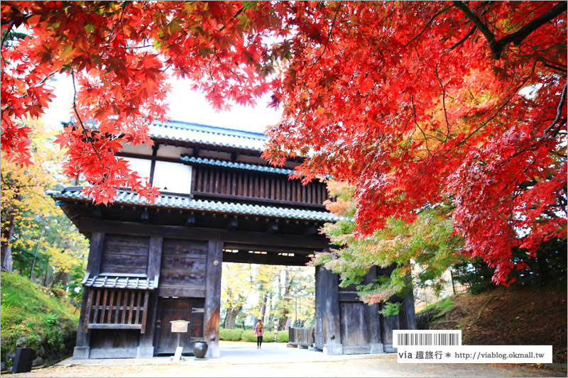 青森賞楓》青森紅葉景點～弘前城‧不止櫻花季美！紅葉季也是緋紅迷人的旅點！