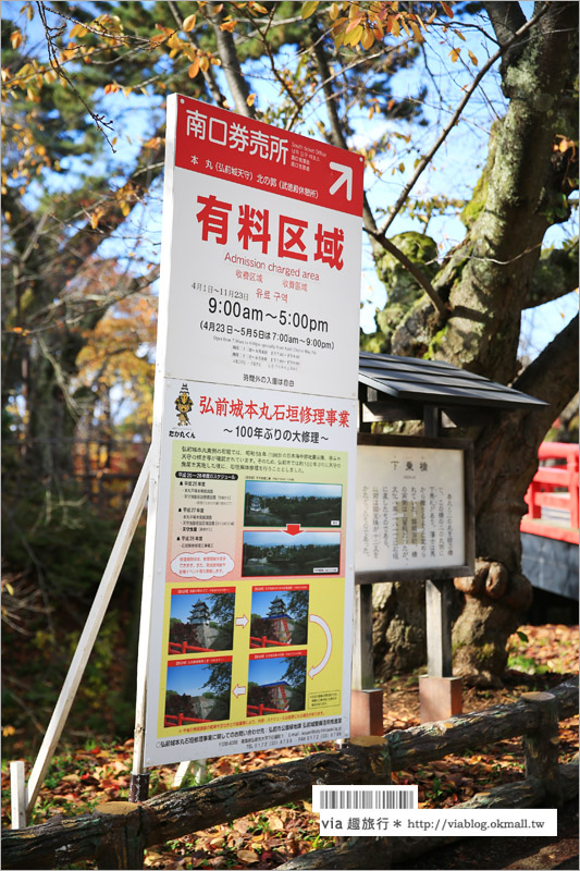 青森賞楓》青森紅葉景點～弘前城‧不止櫻花季美！紅葉季也是緋紅迷人的旅點！