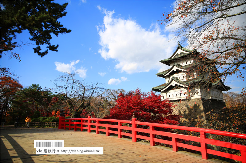 青森賞楓》青森紅葉景點～弘前城‧不止櫻花季美！紅葉季也是緋紅迷人的旅點！