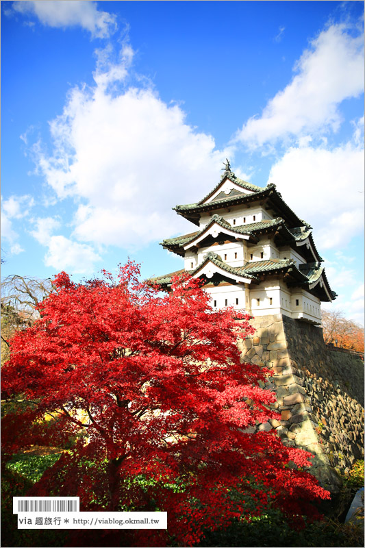 青森賞楓》青森紅葉景點～弘前城‧不止櫻花季美！紅葉季也是緋紅迷人的旅點！