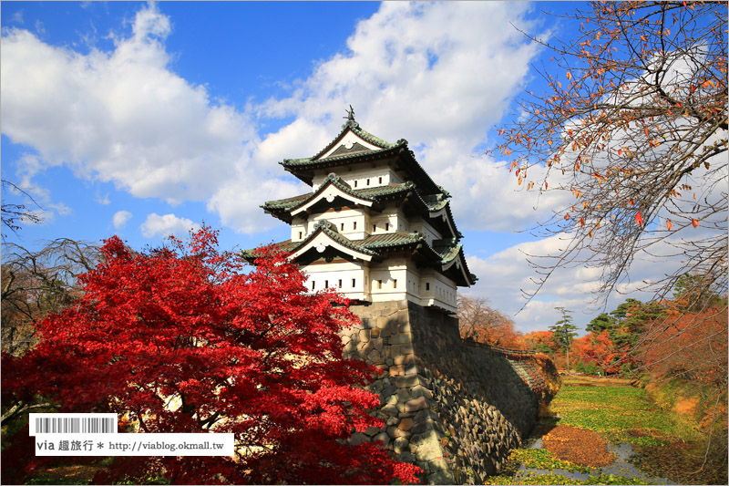 青森賞楓》青森紅葉景點～弘前城‧不止櫻花季美！紅葉季也是緋紅迷人的旅點！