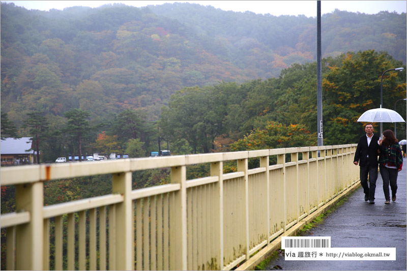 日本東北賞楓》宮城‧嗚子峽紅葉狩～絕美的紅葉山巒，必賞的東北紅葉景點！