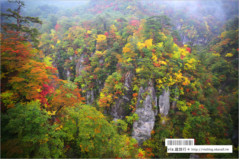 日本東北賞楓》宮城‧嗚子峽紅葉狩～絕美的紅葉山巒，必賞的東北紅葉景點！