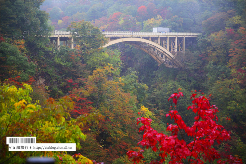 日本東北賞楓》宮城‧嗚子峽紅葉狩～絕美的紅葉山巒，必賞的東北紅葉景點！