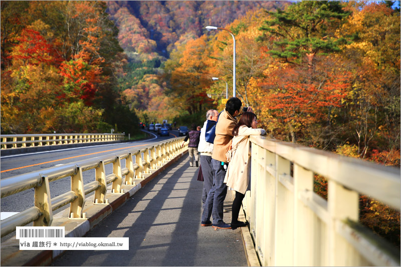 日本東北賞楓》宮城‧嗚子峽紅葉狩～絕美的紅葉山巒，必賞的東北紅葉景點！