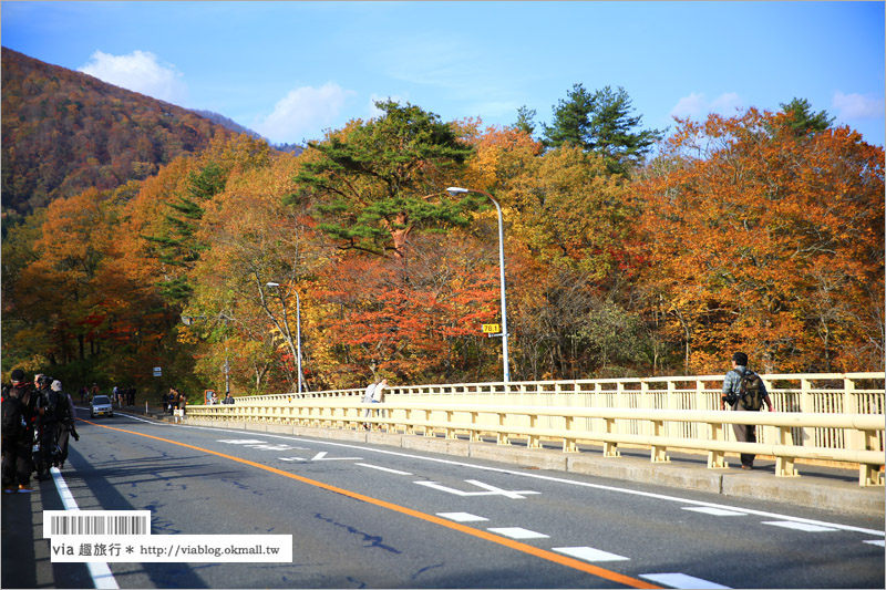 日本東北賞楓》宮城‧嗚子峽紅葉狩～絕美的紅葉山巒，必賞的東北紅葉景點！