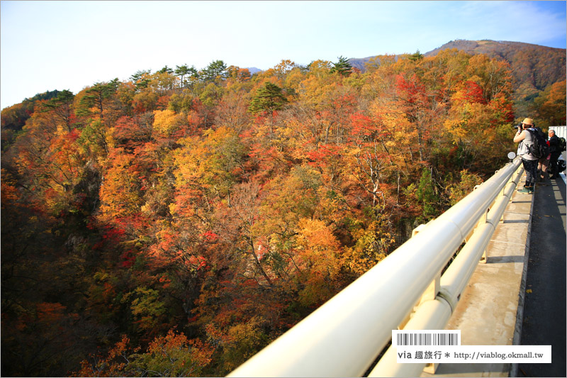 日本東北賞楓》宮城‧嗚子峽紅葉狩～絕美的紅葉山巒，必賞的東北紅葉景點！