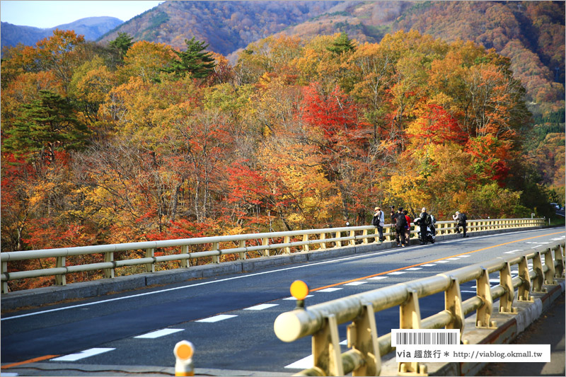 日本東北賞楓》宮城‧嗚子峽紅葉狩～絕美的紅葉山巒，必賞的東北紅葉景點！