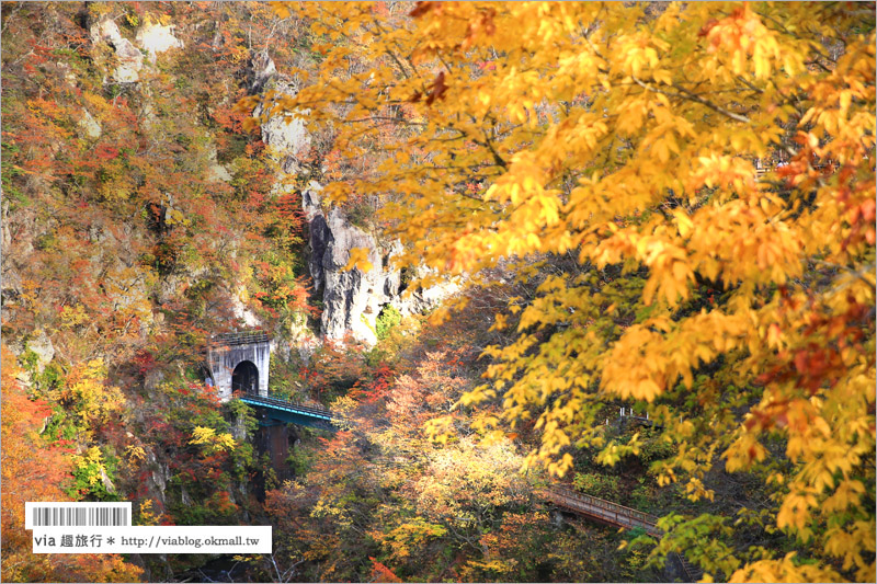 日本東北賞楓》宮城‧嗚子峽紅葉狩～絕美的紅葉山巒，必賞的東北紅葉景點！