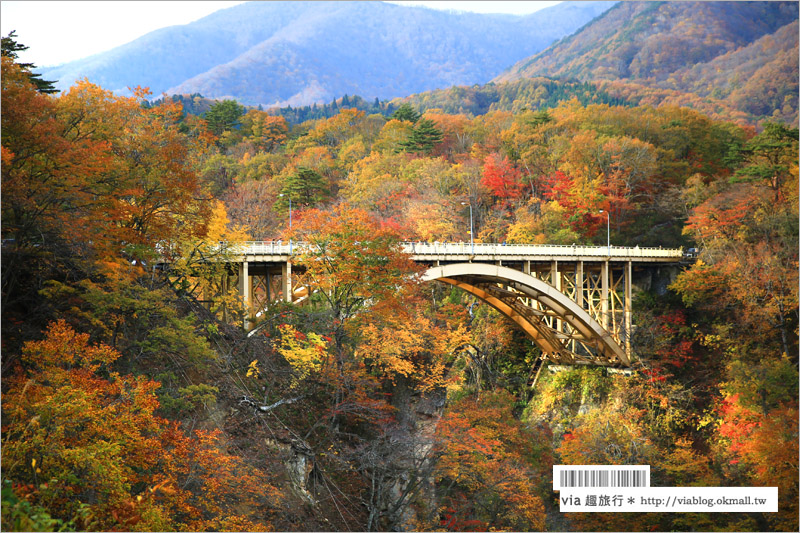 日本東北賞楓》宮城‧嗚子峽紅葉狩～絕美的紅葉山巒，必賞的東北紅葉景點！