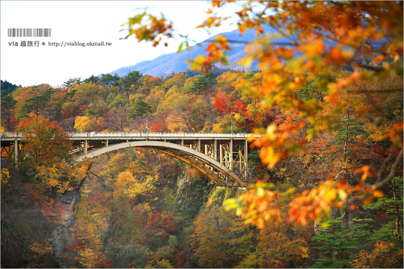 日本東北賞楓》宮城‧嗚子峽紅葉狩～絕美的紅葉山巒，必賞的東北紅葉景點！