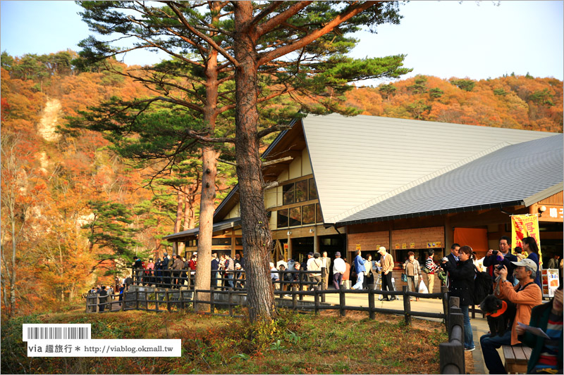 日本東北賞楓》宮城‧嗚子峽紅葉狩～絕美的紅葉山巒，必賞的東北紅葉景點！