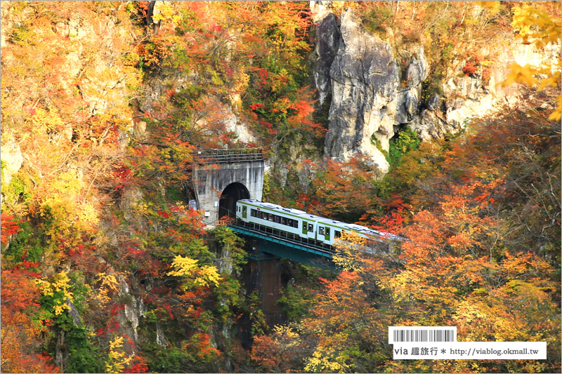 日本東北賞楓》宮城‧嗚子峽紅葉狩～絕美的紅葉山巒，必賞的東北紅葉景點！