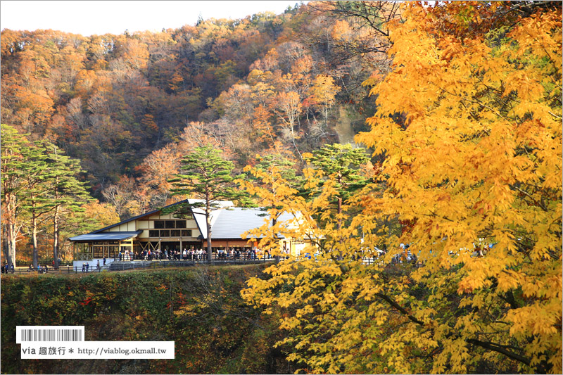 日本東北賞楓》宮城‧嗚子峽紅葉狩～絕美的紅葉山巒，必賞的東北紅葉景點！